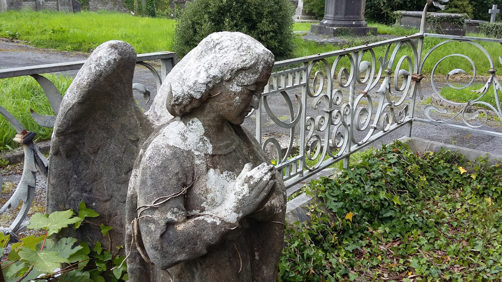 Sligo Historic Graveyard Training Project Begins